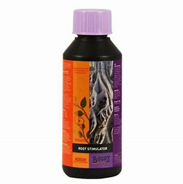 root-stimulator-bcuzz-atami