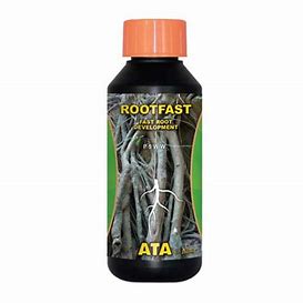 rootfast-ata-atami