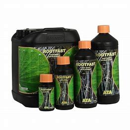 rootfast-ata-atami