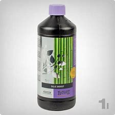silic-boost-bcuzz-atami