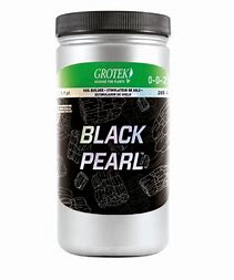 black-pearl-grotek