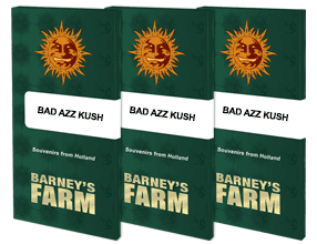 semillas  feminizada  BARNEY'S FARM SEEDS