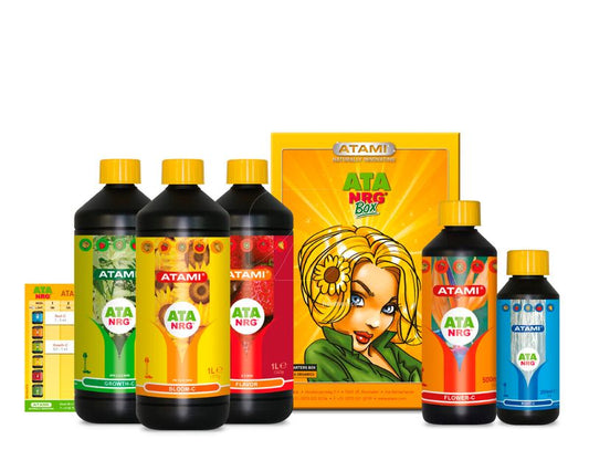 BOX ATA NRG Atami | Kit orgánico completo cultivo