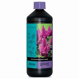 blossom-builder-liquid-bcuzz-atami