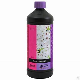 coco-bloom-stimulator-bcuzz-atami