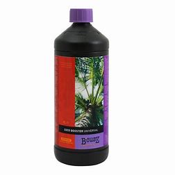 coco-booster-universal-bcuzz-atami