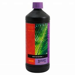 coco-nutrition-a-bcuzz-atami