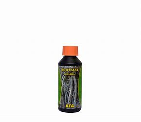 rootfast-ata-atami