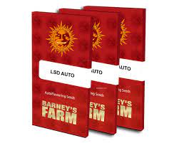 lsd-auto