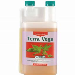 terra-vega