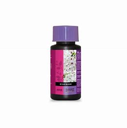 bloom-stimulator-bcuzz-atami
