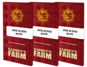 DOS SI DOS AUTO
