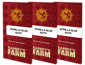 semillas  BARNEY'S FARM SEEDS  automaticas