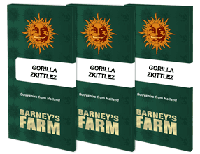 semillas  feminizada  BARNEY'S FARM SEEDS