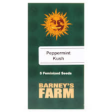 peppermint-kush