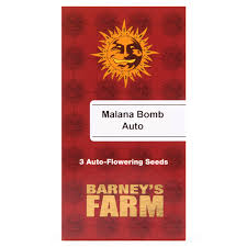 malana-bomb-auto