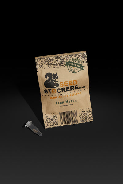 Jack Herer Auto | Seedstockers