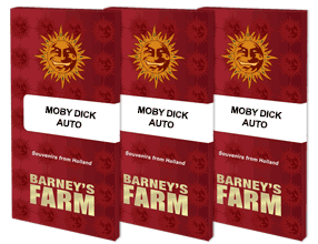 moby-dick-autonsemillas  BARNEY'S FARM SEEDS  automaticas