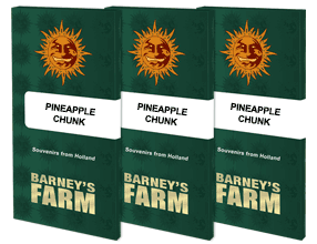 PINEAPPLE CHUNK
