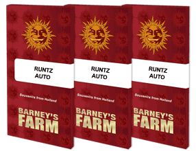 runtz-auto-barney's farm seeds