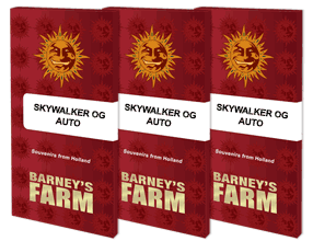 skywalker-og-auto-barney's farm seeds